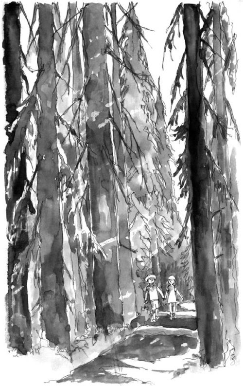 Иллюстрация к книге — На все цвета радуги [i_004.jpg]