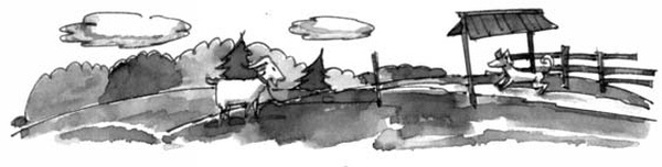 Иллюстрация к книге — На все цвета радуги [i_005.jpg]