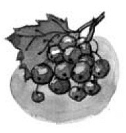 Иллюстрация к книге — На все цвета радуги [i_006.jpg]