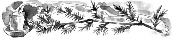 Иллюстрация к книге — На все цвета радуги [i_017.jpg]