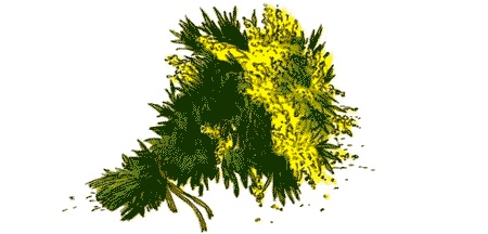 Иллюстрация к книге — Поллианна. Юность Поллианны [img27.jpg]