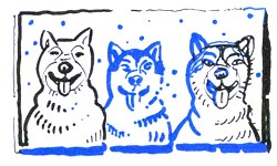 Иллюстрация к книге — Мальчик, который хотел стать человеком [i_051.jpg]