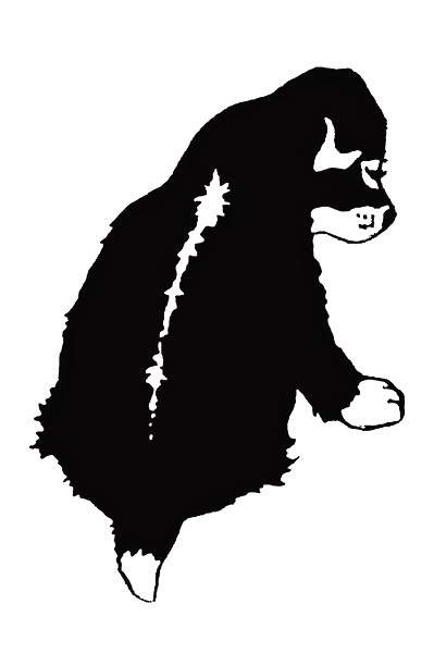 Иллюстрация к книге — Мой друг Сенька [_01.jpg]