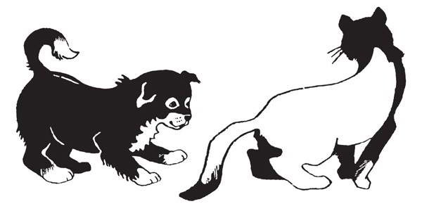 Иллюстрация к книге — Мой друг Сенька [_0304.jpg]