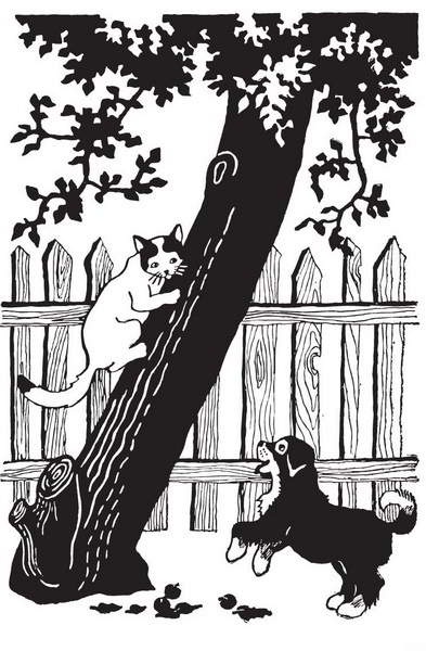 Иллюстрация к книге — Мой друг Сенька [_05.jpg]