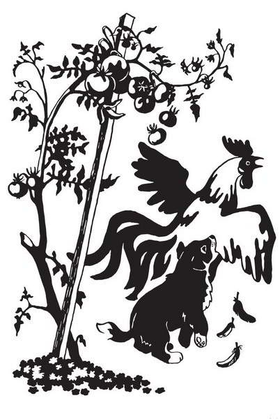 Иллюстрация к книге — Мой друг Сенька [_06.jpg]