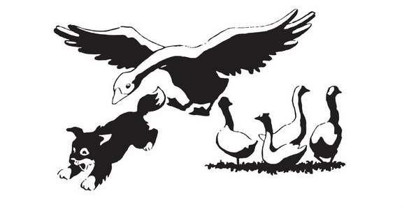 Иллюстрация к книге — Мой друг Сенька [_07.jpg]