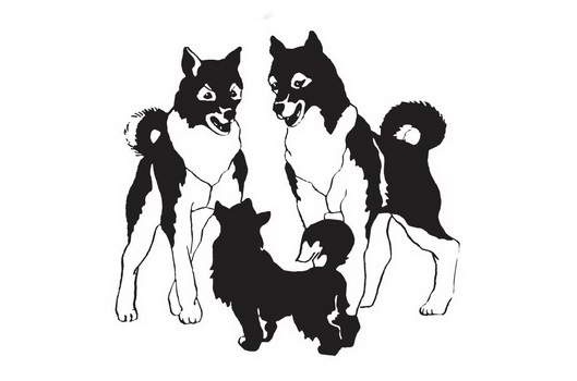 Иллюстрация к книге — Мой друг Сенька [_14.jpg]