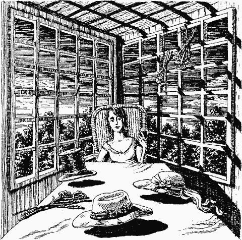 Иллюстрация к книге — Дни поздней осени [img6.jpg]