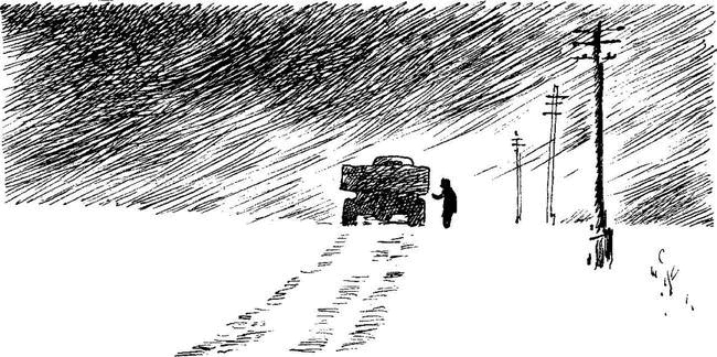 Иллюстрация к книге — Камешки на ладони [i_002.jpg]