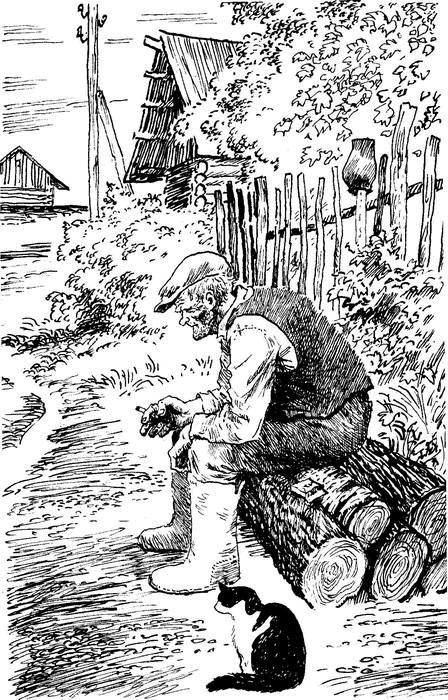 Иллюстрация к книге — Камешки на ладони [i_011.jpg]