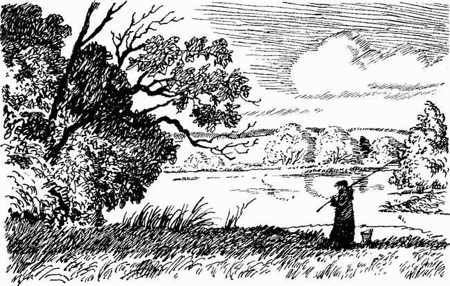 Иллюстрация к книге — Камешки на ладони [i_015.jpg]