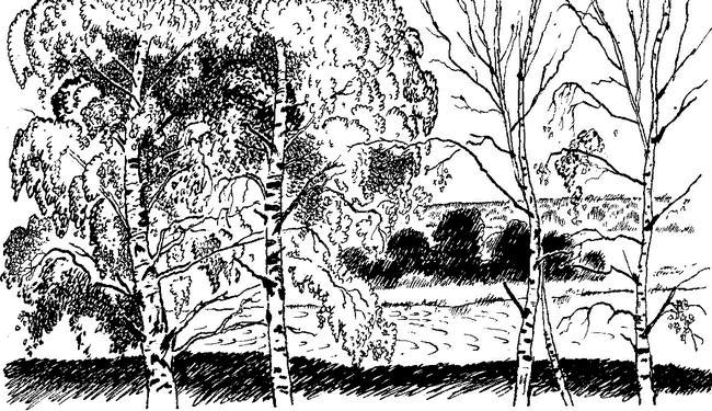 Иллюстрация к книге — Камешки на ладони [i_017.jpg]