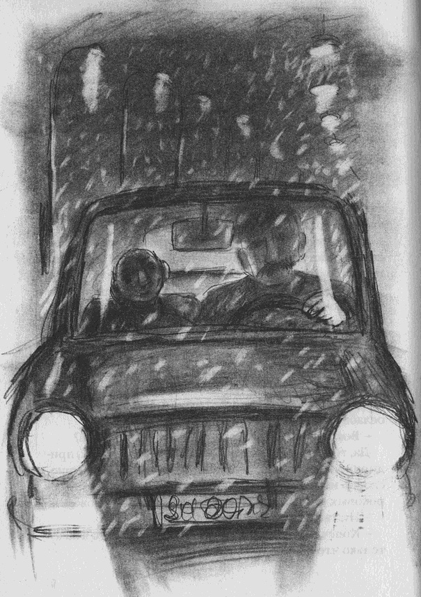 Иллюстрация к книге — Пусть танцуют белые медведи [i_003.jpg]