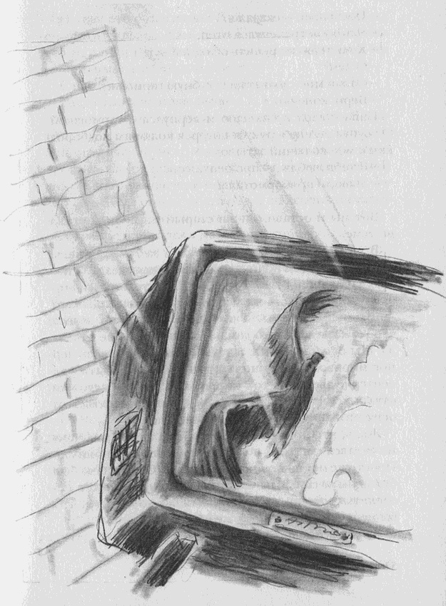 Иллюстрация к книге — Пусть танцуют белые медведи [i_005.jpg]