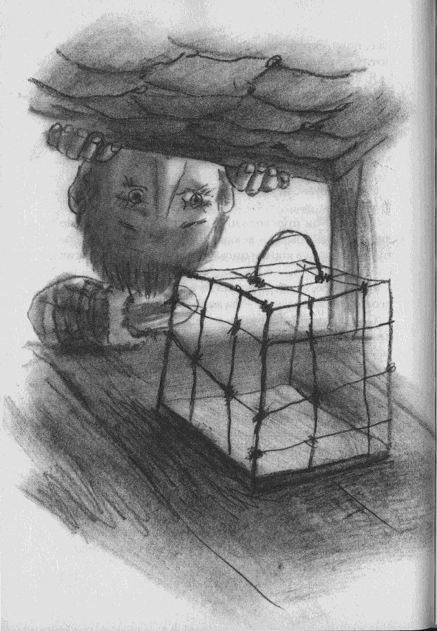 Иллюстрация к книге — Пусть танцуют белые медведи [i_011.jpg]