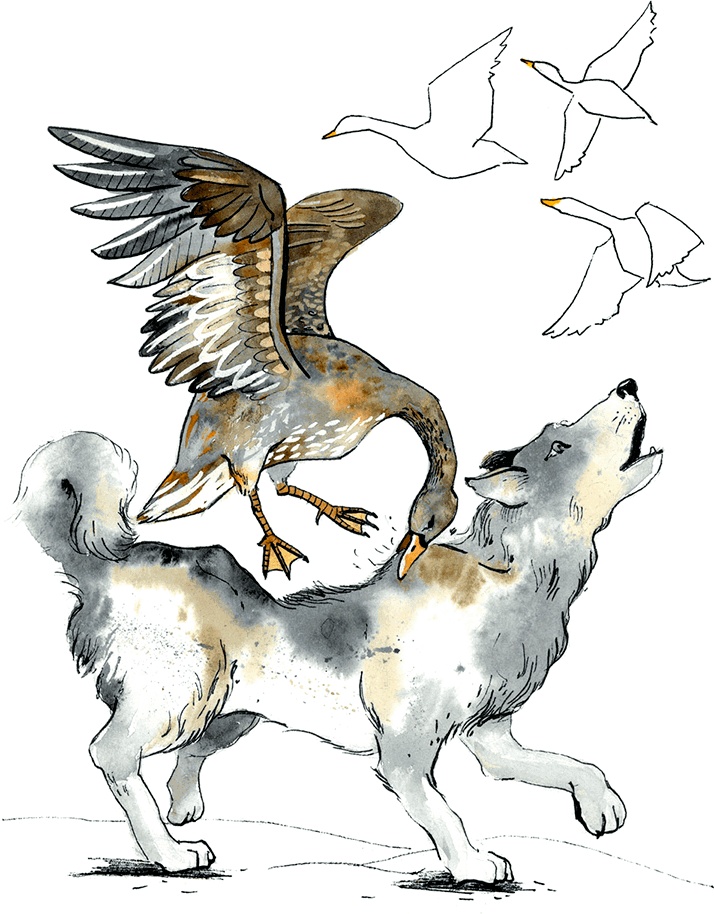 Иллюстрация к книге — Шалунья Нулгынэт [i_004.jpg]