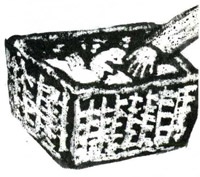 Иллюстрация к книге — Ночные птицы [i_073.jpg]