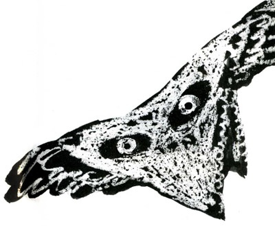 Иллюстрация к книге — Ночные птицы [i_077.jpg]