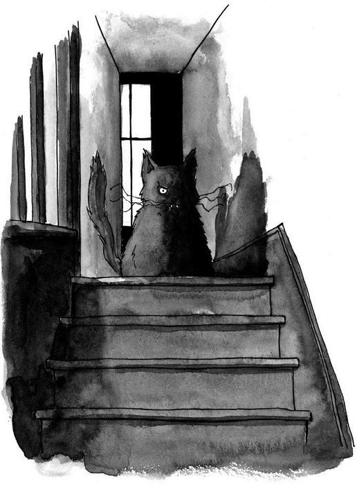 Иллюстрация к книге — Быть котом [i_044.jpg]