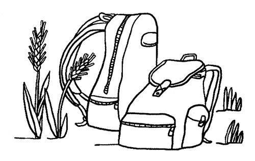 Иллюстрация к книге — Луна с неба [i_010.jpg]