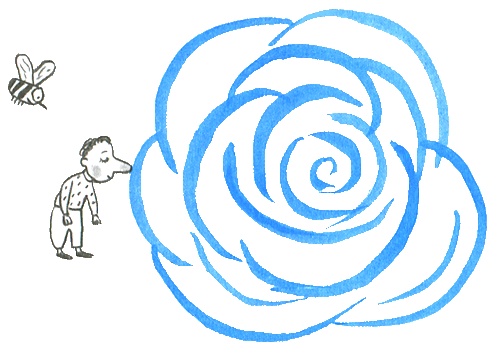 Иллюстрация к книге — Где лежит море? [i_008.jpg]