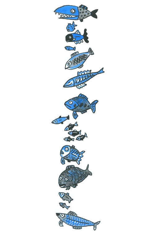 Иллюстрация к книге — Где лежит море? [i_028.jpg]