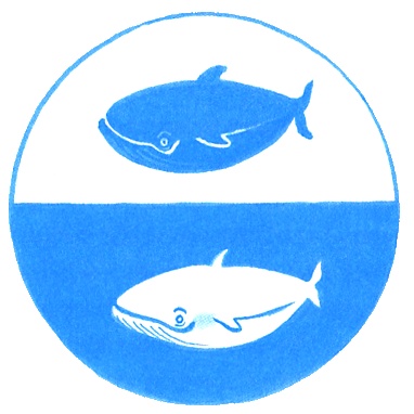 Иллюстрация к книге — Где лежит море? [i_029.jpg]