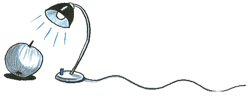 Иллюстрация к книге — Где лежит море? [i_066.jpg]