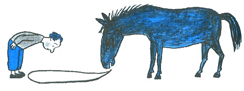 Иллюстрация к книге — Где лежит море? [i_078.jpg]