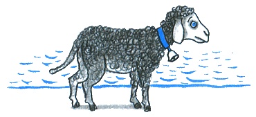 Иллюстрация к книге — Где лежит море? [i_100.jpg]