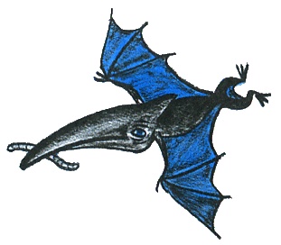 Иллюстрация к книге — Где лежит море? [i_105.jpg]