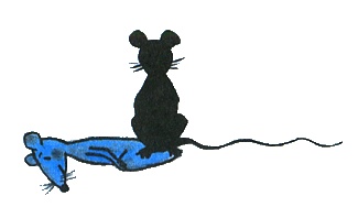 Иллюстрация к книге — Где лежит море? [i_107.jpg]