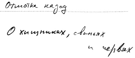 Иллюстрация к книге — Солнце - крутой бог [i_004.jpg]