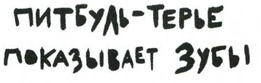 Иллюстрация к книге — Осторожно, Питбуль-Терье! [i_005.jpg]