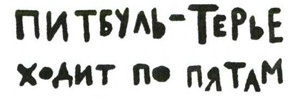 Иллюстрация к книге — Осторожно, Питбуль-Терье! [i_038.jpg]