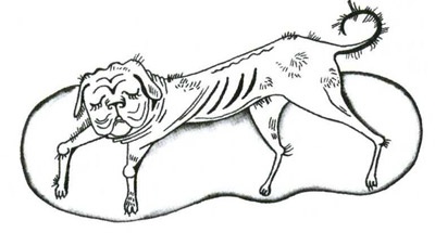 Иллюстрация к книге — Осторожно, Питбуль-Терье! [i_064.jpg]