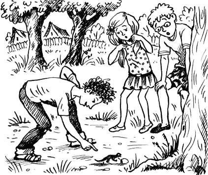 Иллюстрация к книге — Соло на водонапорной башне [i_011.jpg]