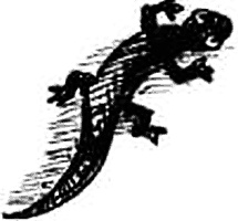 Иллюстрация к книге — Соло на водонапорной башне [i_012.jpg]