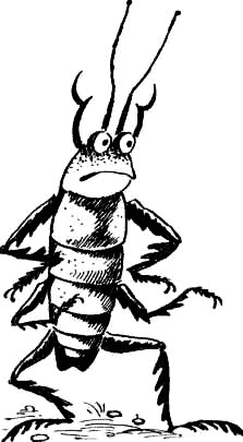 Иллюстрация к книге — Соло на водонапорной башне [i_055.jpg]