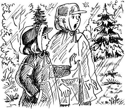 Иллюстрация к книге — Соло на водонапорной башне [i_060.jpg]