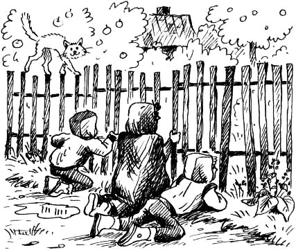 Иллюстрация к книге — Соло на водонапорной башне [i_076.jpg]