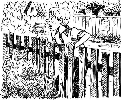 Иллюстрация к книге — Соло на водонапорной башне [i_082.jpg]