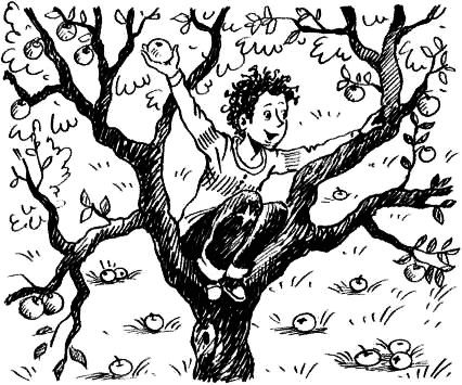 Иллюстрация к книге — Соло на водонапорной башне [i_088.jpg]