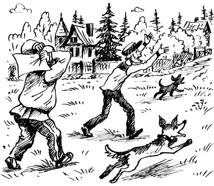 Иллюстрация к книге — Соло на водонапорной башне [i_106.jpg]