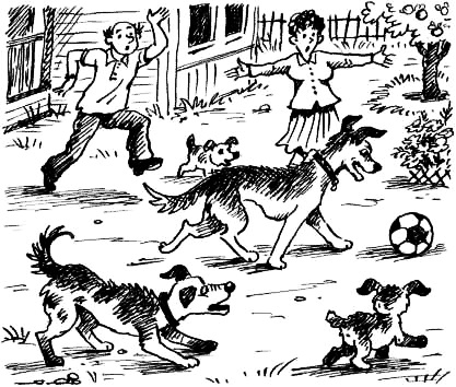 Иллюстрация к книге — Соло на водонапорной башне [i_112.jpg]