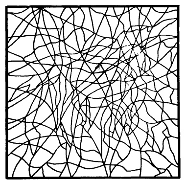 Иллюстрация к книге — Головоломки профессора Головоломки: сборник загадок, фокусов и занимательных задач [i_023.jpg]