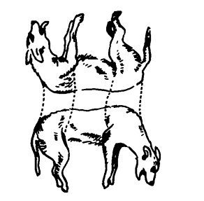 Иллюстрация к книге — Головоломки профессора Головоломки: сборник загадок, фокусов и занимательных задач [i_052.jpg]