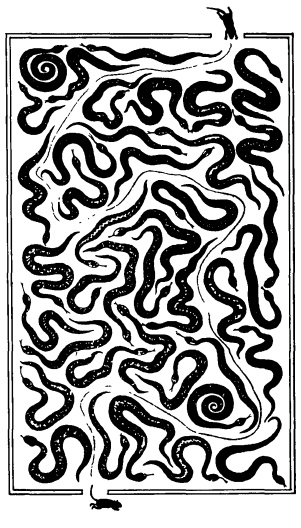 Иллюстрация к книге — Головоломки профессора Головоломки: сборник загадок, фокусов и занимательных задач [i_055.jpg]