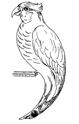 Иллюстрация к книге — Головоломки профессора Головоломки: сборник загадок, фокусов и занимательных задач [i_096.jpg]